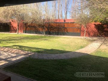 Casa rural con alma de finca. a 4 km de la capital. Mendoza. Rivadavia. terreno 8000 m2