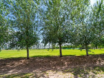 VENTA LOTE DE TERRENO EN HARAS DE  FUNES