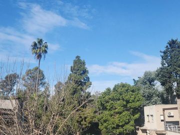 Departamento Venta Canning Bambu Classic