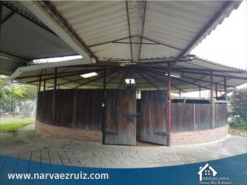Vendo Hermosa Finca 8 Fanegadas en Tenjo Vereda Guangata