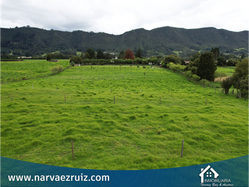 Vendo Hermosa Finca 8 Fanegadas en Tenjo Vereda Guangata