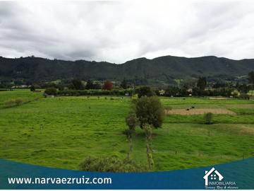 Vendo Hermosa Finca 8 Fanegadas en Tenjo Vereda Guangata