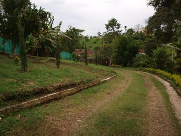 Finca Venta Vía Pereira Morelia
