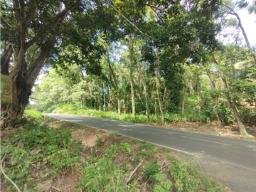 Se Vende Finca Comercial de 10 HAS El Espino- Vía Santa Rita (DR)