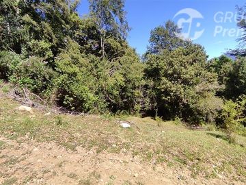 Parcela en Venta en Curriñe Futrono