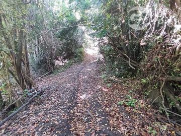 Parcela en Venta en Curriñe Futrono