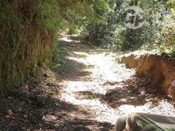 Parcela en Venta en Curriñe Futrono