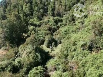 Parcela en Venta en Curriñe Futrono