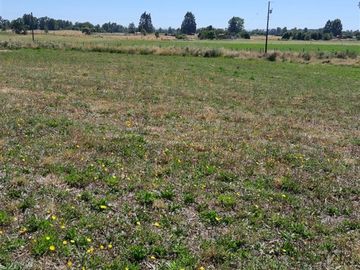 Parcela en Venta en SECTOR ROFUCO BAJO COMUNA DE LA UNION