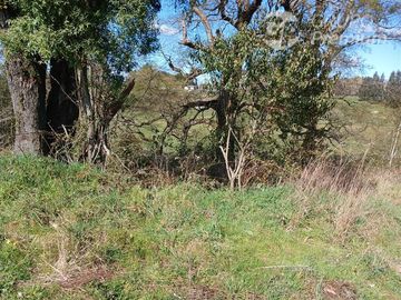 Parcela en Venta en SECTOR ROFUCO BAJO COMUNA DE LA UNION