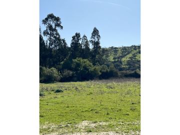 EXCELENTE!! Parcelas de 5.000 m2 con Rol Propio en "Lomas de Quiñicaben", Litueche