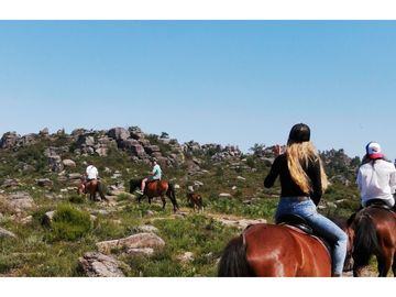 EXCELENTE!! Parcelas de 5.000 m2 con Rol Propio en "Lomas de Quiñicaben", Litueche