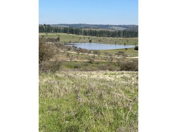 EXCELENTE!! Parcelas de 5.000 m2 con Rol Propio en "Lomas de Quiñicaben", Litueche