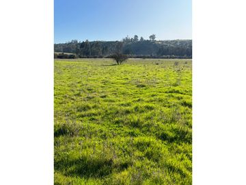 EXCELENTE!! Parcelas de 5.000 m2 con Rol Propio en "Lomas de Quiñicaben", Litueche