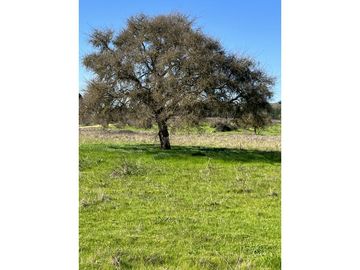 EXCELENTE!! Parcelas de 5.000 m2 con Rol Propio en "Lomas de Quiñicaben", Litueche