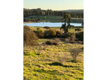 EXCELENTE!! Parcelas de 5.000 m2 con Rol Propio en "Lomas de Quiñicaben", Litueche