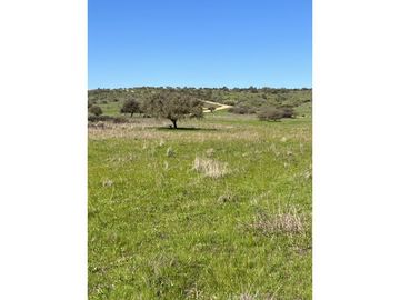 EXCELENTE!! Parcelas de 5.000 m2 con Rol Propio en "Lomas de Quiñicaben", Litueche