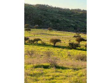 EXCELENTE!! Parcelas de 5.000 m2 con Rol Propio en "Lomas de Quiñicaben", Litueche