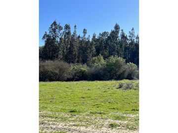 EXCELENTE!! Parcelas de 5.000 m2 con Rol Propio en "Lomas de Quiñicaben", Litueche