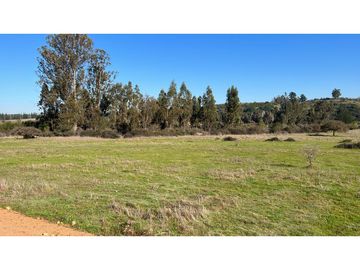 EXCELENTE!! Parcelas de 5.000 m2 con Rol Propio en "Lomas de Quiñicaben", Litueche