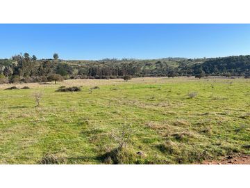 EXCELENTE!! Parcelas de 5.000 m2 con Rol Propio en "Lomas de Quiñicaben", Litueche
