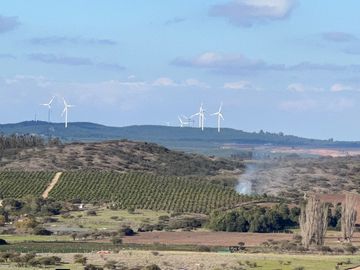 EXCELENTE!! Parcelas de 5.000 m2 con Rol Propio en "Lomas de Quiñicaben", Litueche