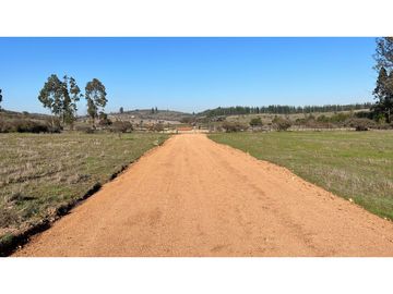 EXCELENTE!! Parcelas de 5.000 m2 con Rol Propio en "Lomas de Quiñicaben", Litueche