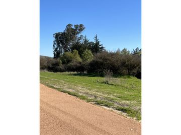 EXCELENTE!! Parcelas de 5.000 m2 con Rol Propio en "Lomas de Quiñicaben", Litueche