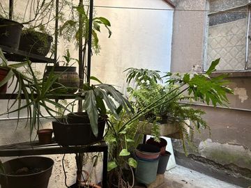 Edificio en venta en Avante