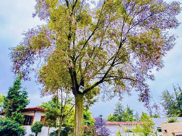 Casa en Venta en Rancho San Francisco