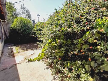 Amplio Terreno con Casa Solida Para Remodelar en La Granja