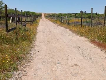 Parcela en Venta en A 15 MINUTO DEL CENTRO DE CAUQUENE Y MEDIA HORA DE LA PLAYA