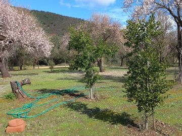 Parcela en Venta en La Viluma / Ruta G- 646