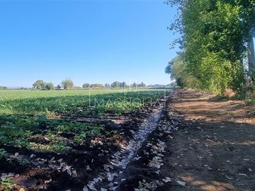 Sitio en Venta en Fundo San Jorge/ Av. Huamachuco