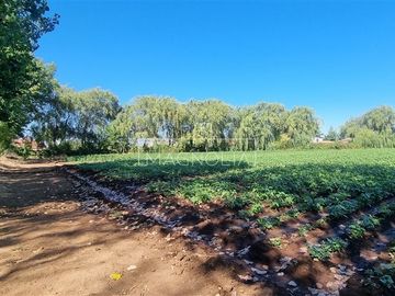 Sitio en Venta en Fundo San Jorge/ Av. Huamachuco