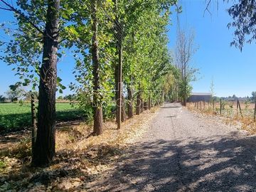 Sitio en Venta en Fundo San Jorge/ Av. Huamachuco
