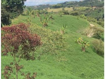 Venta Finca Filandia Quindio COD: 4899101