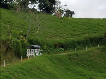 Venta Finca Filandia Quindio COD: 4899101