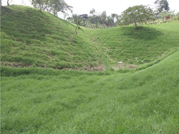 Venta Finca Filandia Quindio COD: 4899101