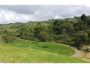 Venta Finca Filandia Quindio COD: 4899101