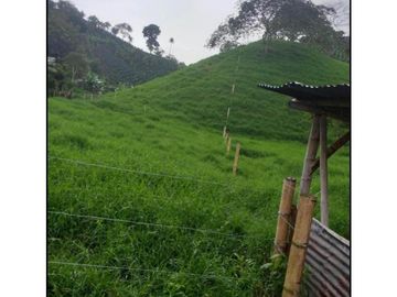 Venta Finca Filandia Quindio COD: 4899101