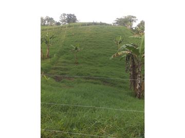 Venta Finca Filandia Quindio COD: 4899101