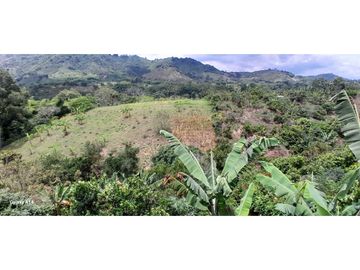 Finca Venta Vereda La Suecia