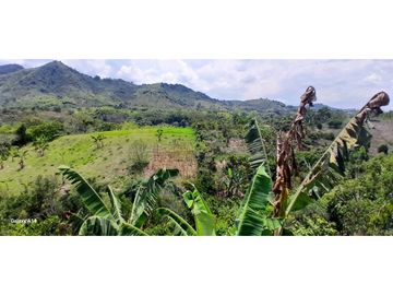 Finca Venta Vereda La Suecia