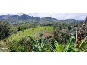 Finca Venta Vereda La Suecia