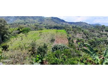 Finca Venta Vereda La Suecia