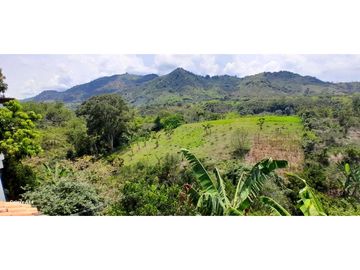 Finca Venta Vereda La Suecia