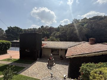 Vista Al bosque