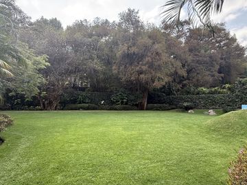 Vista Al bosque