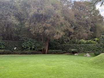 Vista Al bosque